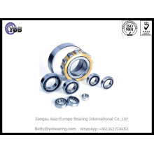 Nj212ecj Cylindrical Rollerbearing for Automotive Wheel Bearing